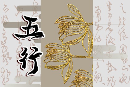 2024年2月10日五行穿衣指南