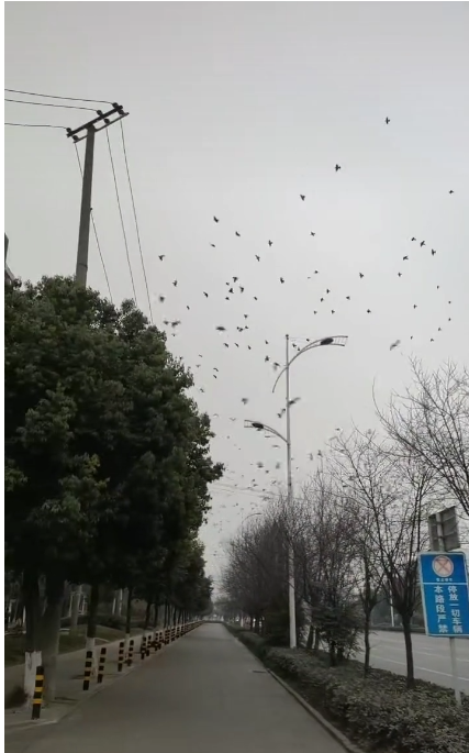 长期空气污染增加患抑郁症风险