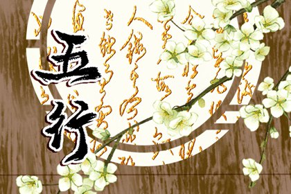 2024年2月23日五行穿衣查询 穿什么吉利