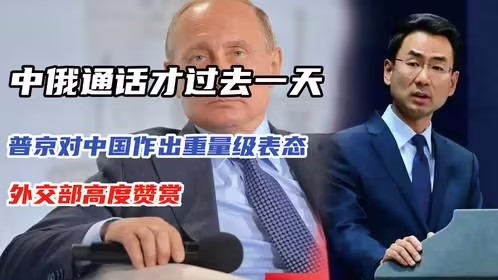 普京点赞中国外交部