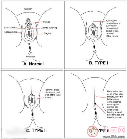 自慰棒棒使用方法图解 女性第一次买自慰棒怎样用