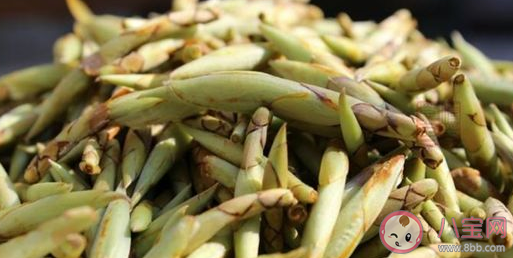 老鹰茶有什么样的功效和作用 老鹰茶哪些人不能喝