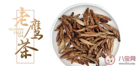 老鹰茶有什么样的功效和作用 老鹰茶哪些人不能喝