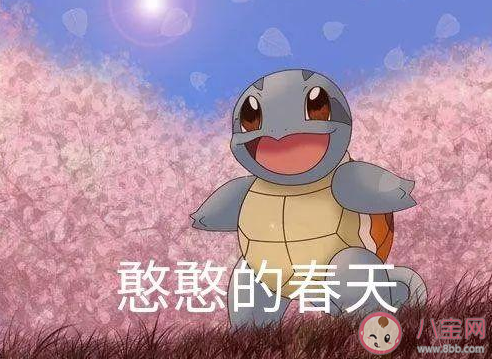 抖音憨憨是什么意思什么梗 憨憨有什么特殊含义