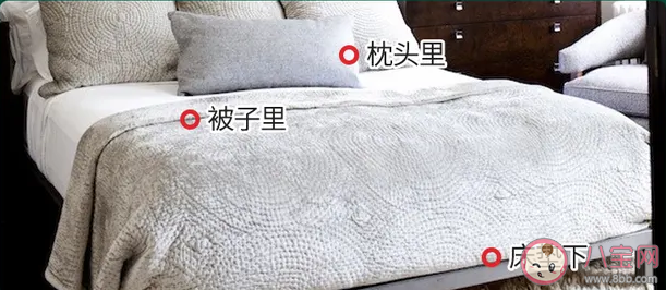 杀虫剂喷到床上还能睡吗 皮肤接触了杀虫剂会有什么影响