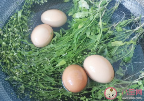 在三月三吃荠菜煮鸡蛋有什么功效 荠菜煮鸡蛋有哪些营养价值