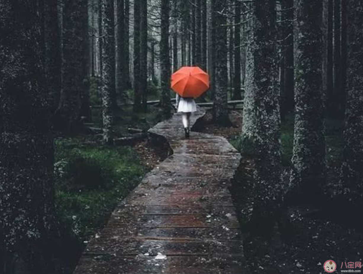 ABO是什么梗 ABO是什么意思