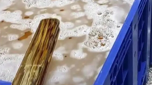 海鲜加工厂的狠活:硼砂泡出黄金鲍