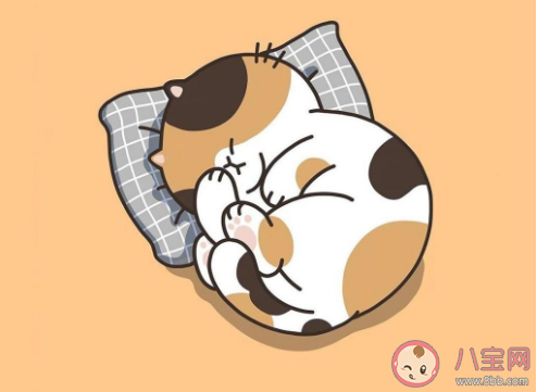 哄女朋友睡觉甜甜的小故事有哪些 给女朋友的超甜睡前故事