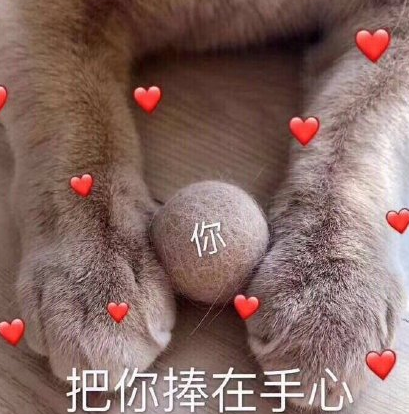 520搞笑表情包大全 适合发朋友圈520表情包