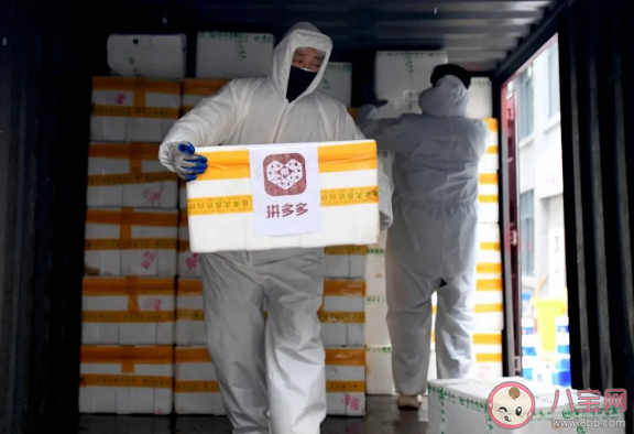 拼多多品牌店的东西都是正品吗 拼多多品牌店和官方旗舰店一样吗