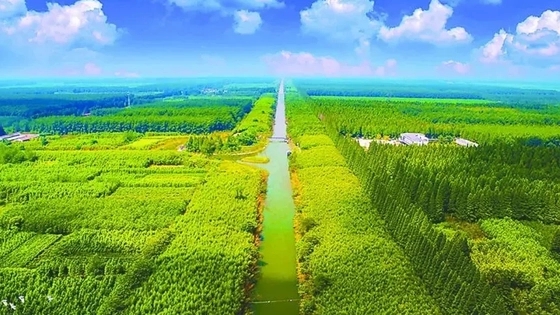 中国的绿色发展对世界意味着什么