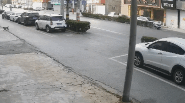 开门杀致人死亡女子被判9个月 司机全程不看后车引网友气愤：官方回应