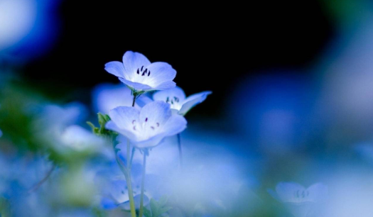 2024年3月29日五行穿衣指南，五行穿衣旺运每日分享