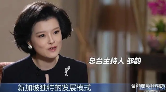 央视主持邹韵采访李显龙惊艳网友