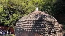 爬乐山大佛头顶打坐？警方正调查！