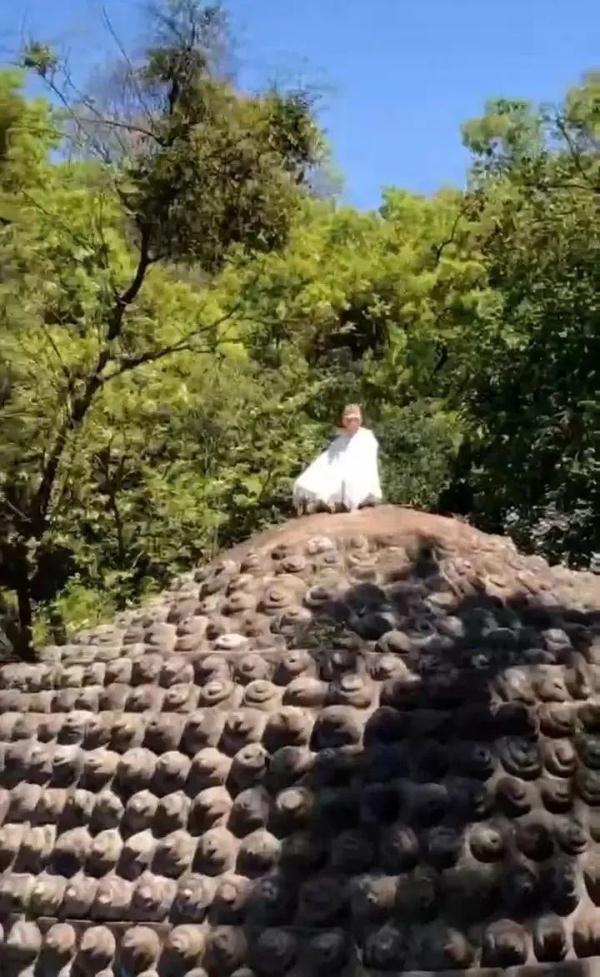 爬乐山大佛头顶打坐？警方正调查！