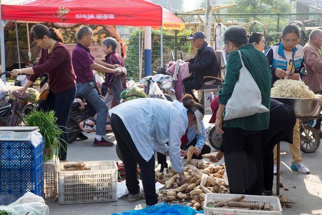 985研究生凌晨帮父亲卖菜 遭隔壁商贩掀摊 女孩：不接受调解！拒绝菜霸霸凌！