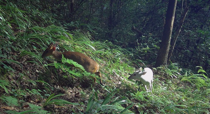 643e4e760cf2060fc0085381