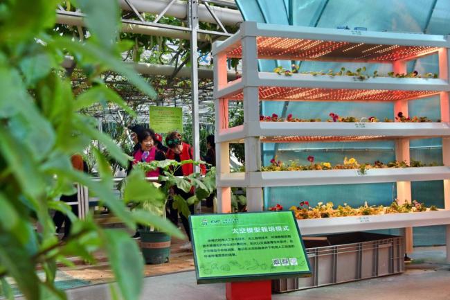 中国“菜篮子”科技含量更足 颠覆对农产品的固有印象