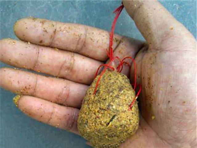 夏季钓鲤鱼最好的饵料是什么