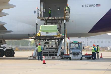 中方兽医带着竹子迎接丫丫