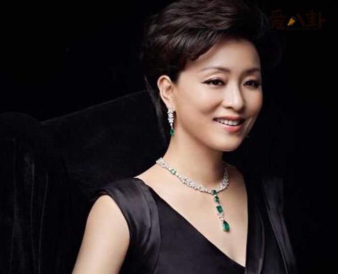 杨澜红枣事件该事件详情是怎么样的 行走的红枣杨澜