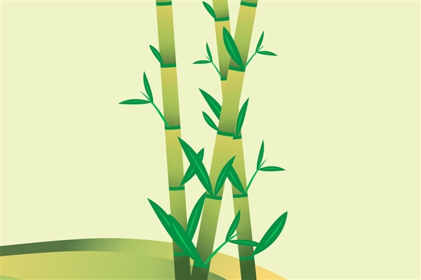 两只旅俄大熊猫体重和人气齐升：吃得香 住得好