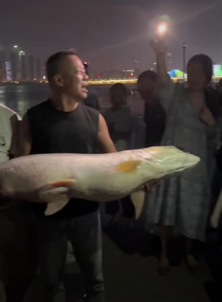 火眼金睛识水怪是什么生肖,经典解释