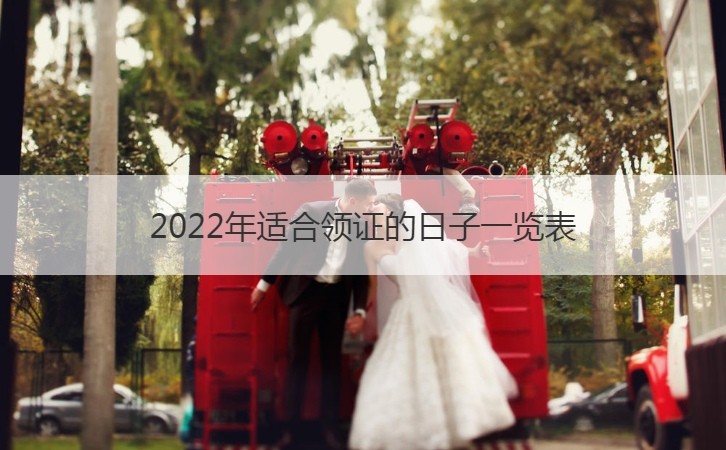 2024年最佳领证日子