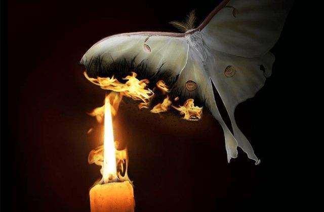 飞蛾扑火是什么生肖