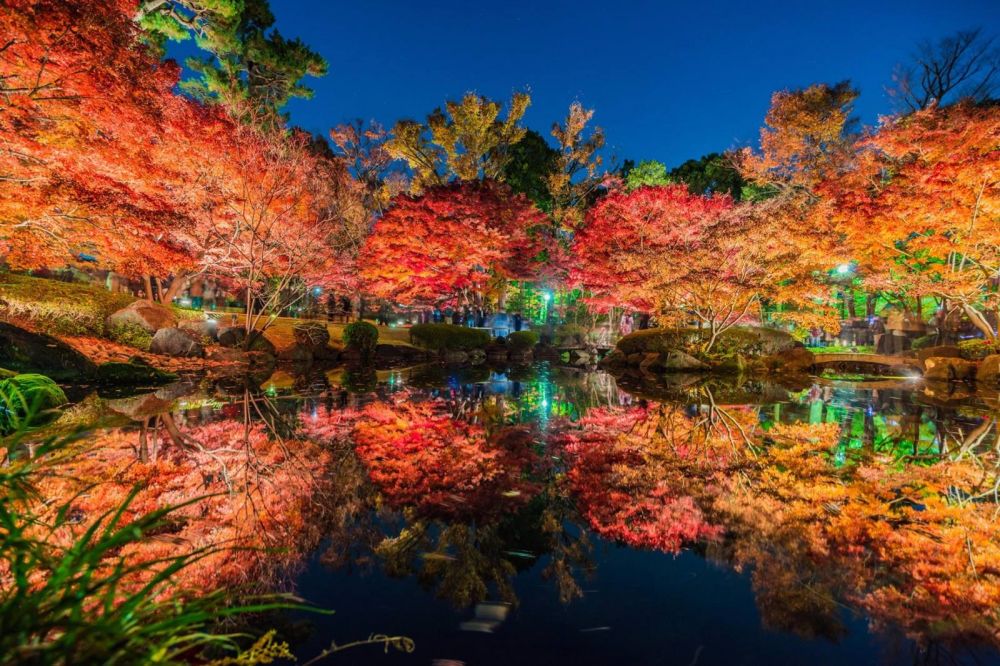 睡觉时梦见同事在逗一个小男孩玩是什么意思、代表着什么？