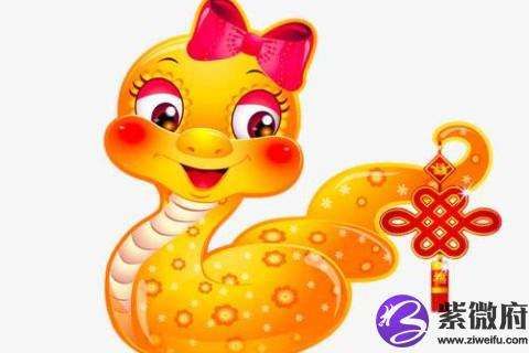 今年（2025年）81岁属什么生肖，81岁是属什么生肖