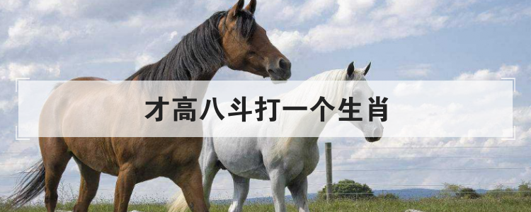 才高八斗打一生肖,才高八斗打正确生肖
