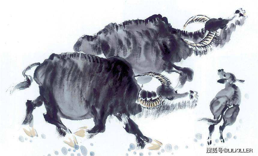 回天无力打一生肖，回天无力猜一生肖