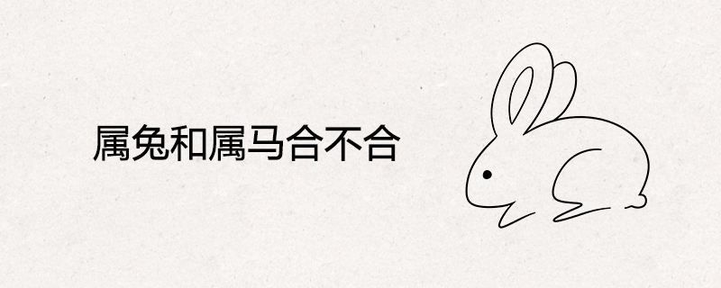 属兔和属马的合不合，属兔和属马合不合