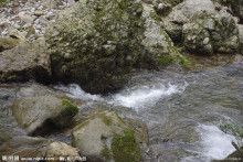 水落石出打一生肖，水落石出是什么生肖