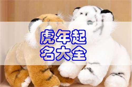 2025蛇年熊姓男孩名字大全，熊姓男孩取名大全2022