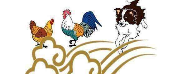 鸡犬升天打一生肖，鸡犬升天是什么生肖?