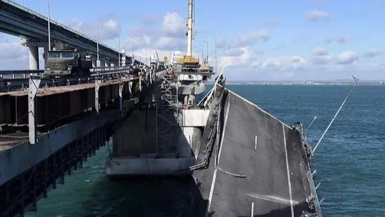 说白道绿是什么生肖，精准解释