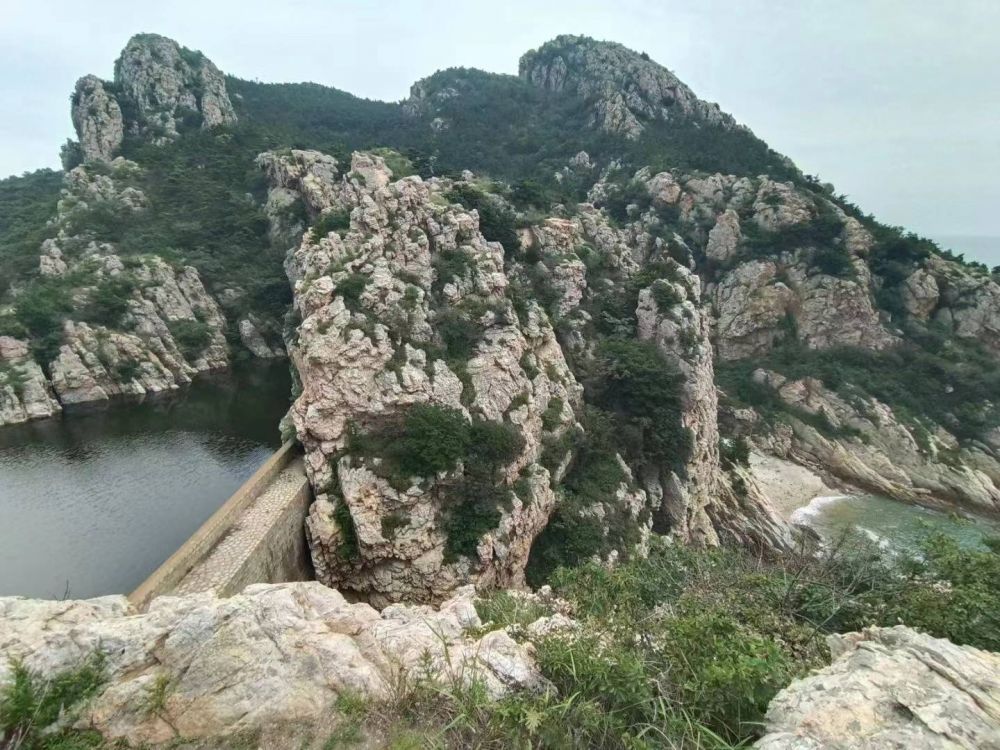 才貌双全，天妒人怨，从有艳光宜收敛是什么生肖打一个生肖动物，成语解释