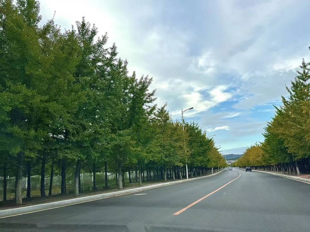 旺火炼金赚大钱是什么生肖《旺火炼金赚大钱》打一个生肖动物，正确解释