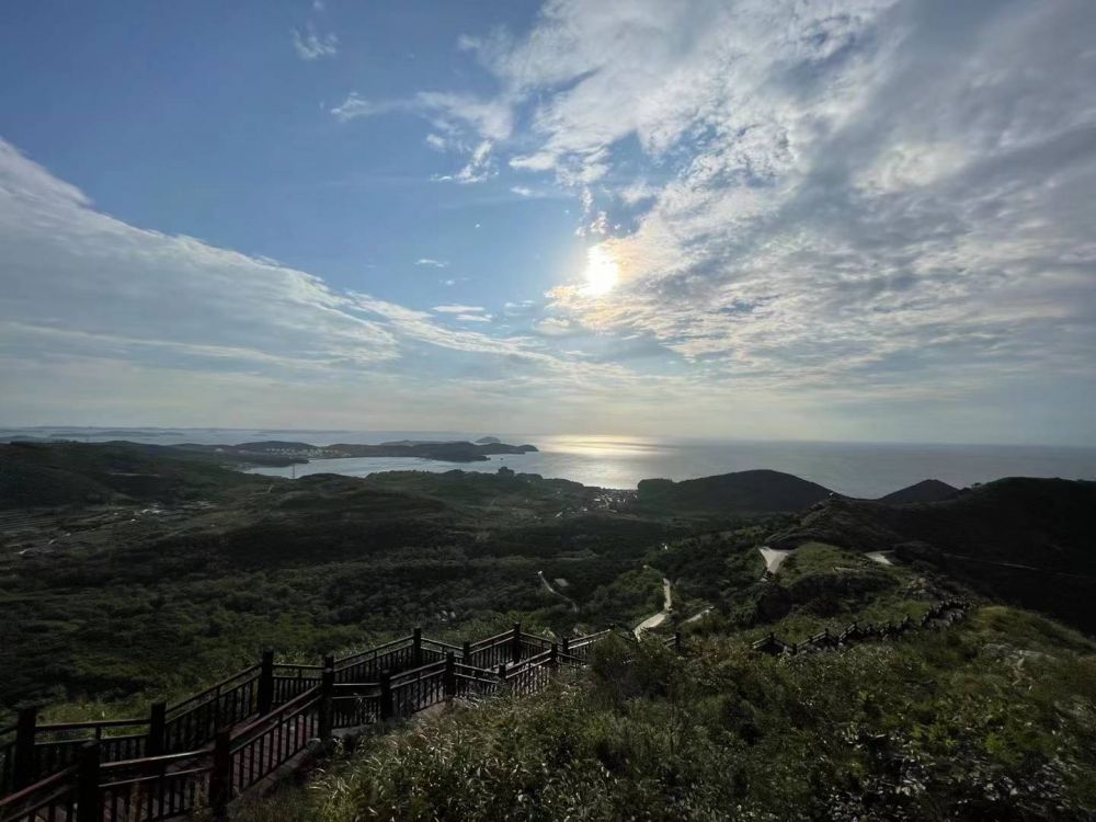 虎落平阳是什么生肖,正确解释