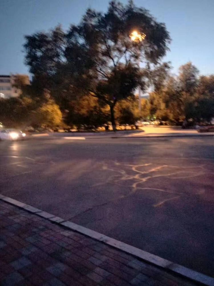 梦见贪官肥头大耳是什么生肖梦见贪官肥头大耳打一个生肖动物，词语解释