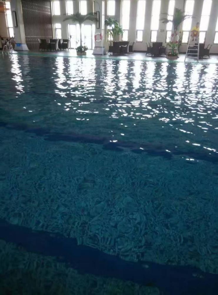 壮四七出王者是什么生肖《壮四七出王者》打一个生肖动物,词语解释