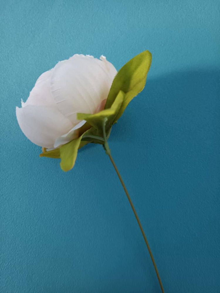 白手起家从零起是什么生肖《白手起家从零起》打一个生肖动物,词语解释