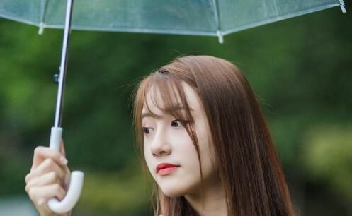 双十年华是什么生肖，正确解释