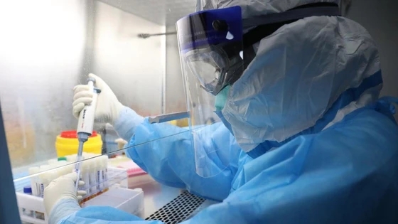 娱乐场所和景区不再查核酸健康码