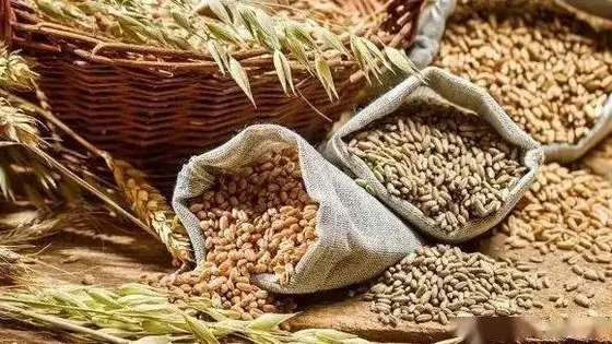 中国粮食连续8年丰产