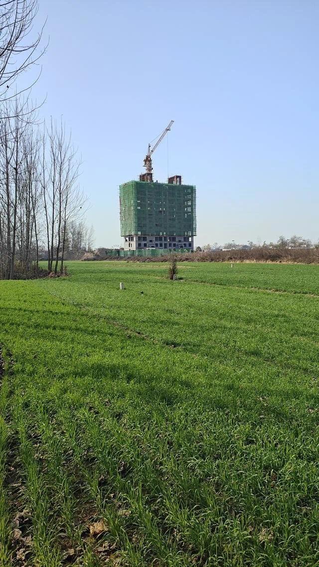 麦田“长出”十层高楼 当地避而不谈究竟谁是开发商